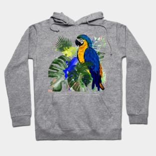 Parrot in jungle Hoodie